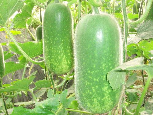 今日吃瓜热门大瓜每日更新51 吃瓜网每日大赛