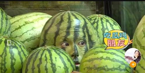 网红大瓜在哪找 爆料网吃瓜黑料反差入口,爆料网站、吃瓜黑料与反差入口全解析